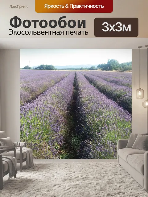 Фотообои Лаванда