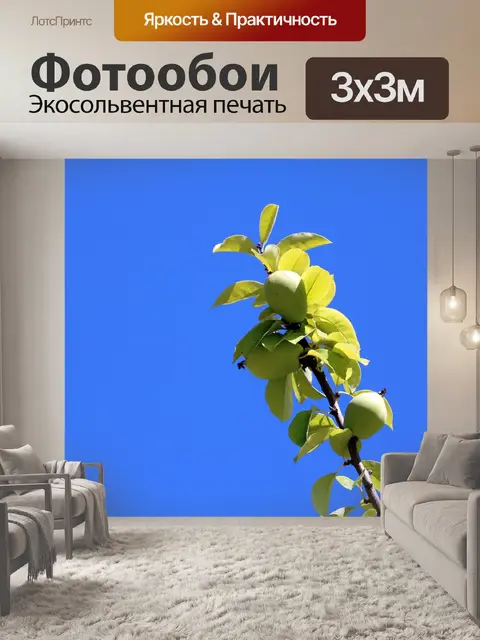 Фотообои Синее небо