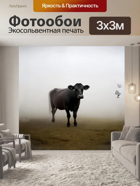 Фотообои на утреннем тумане, черная корова-ангус выступает в центре сцены, ее форма размыта, но узнаваема