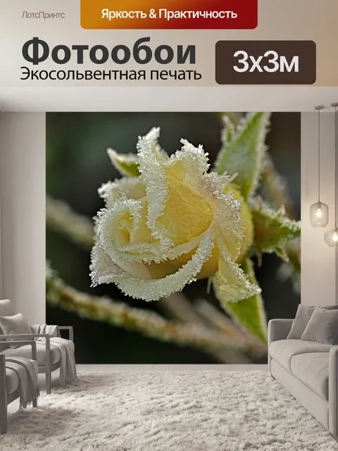 Фотообои Роза