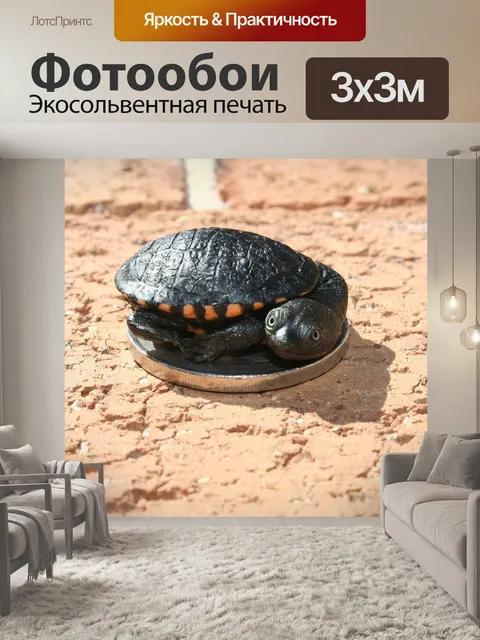 Фотообои Австралийский