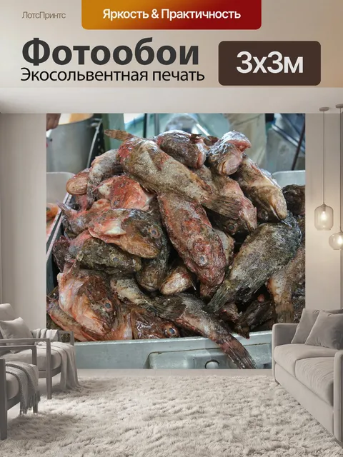 Фотообои Рыба