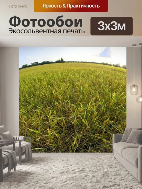 Фотообои Мост Дорога к ферме Таиланд
