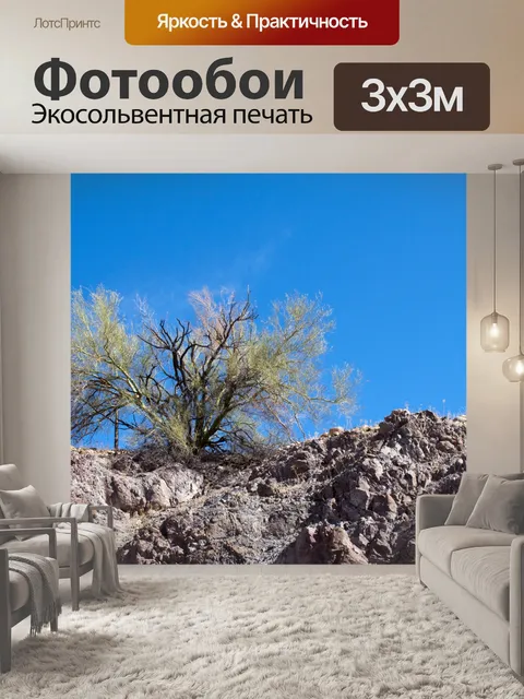 Фотообои Дерево пустыни