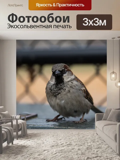 Фотообои Воробей