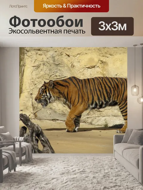 Фотообои Тигр на Patrol