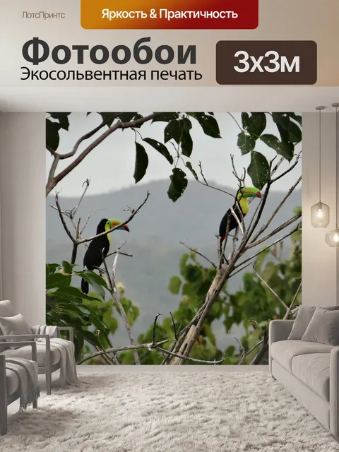 Фотообои Тукан