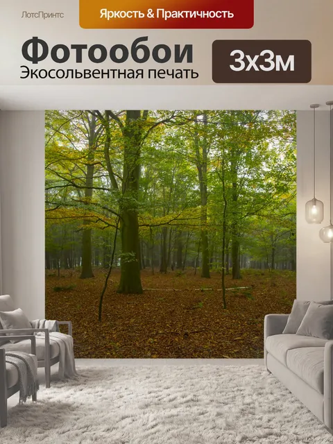 Фотообои Туманный лес