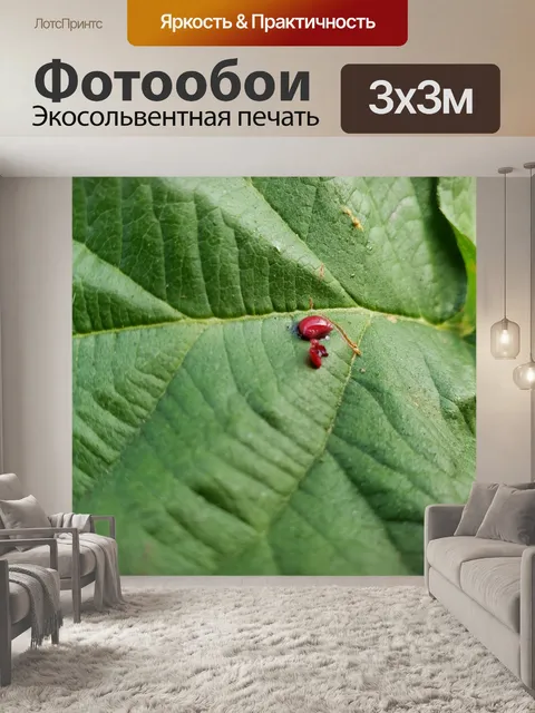 Фотообои Зеленый лист и Ягода
