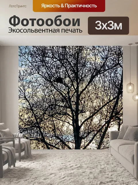 Фотообои Гнездо в голое дерево и закат
