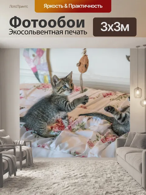 Фотообои Котята