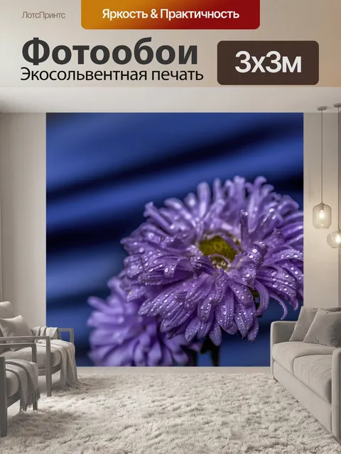 Фотообои Цветок в тени