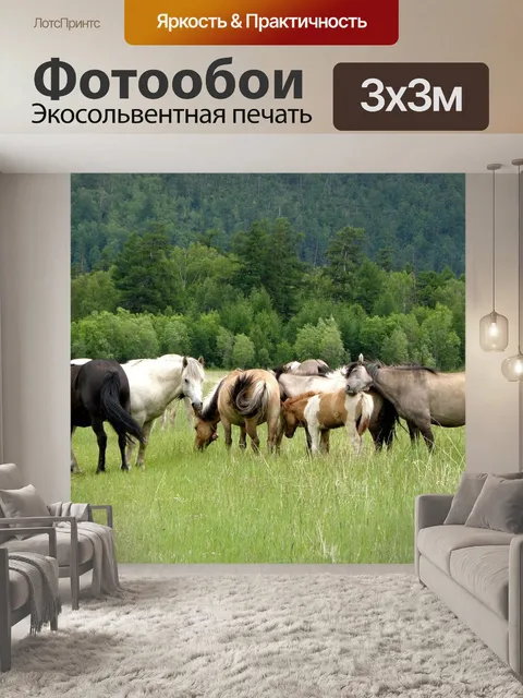 Фотообои Лошади