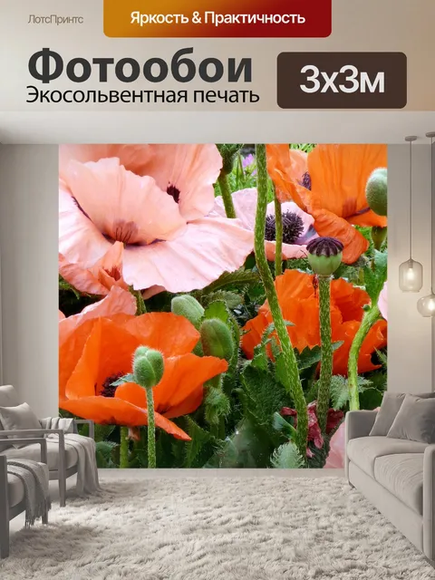 Фотообои Маки