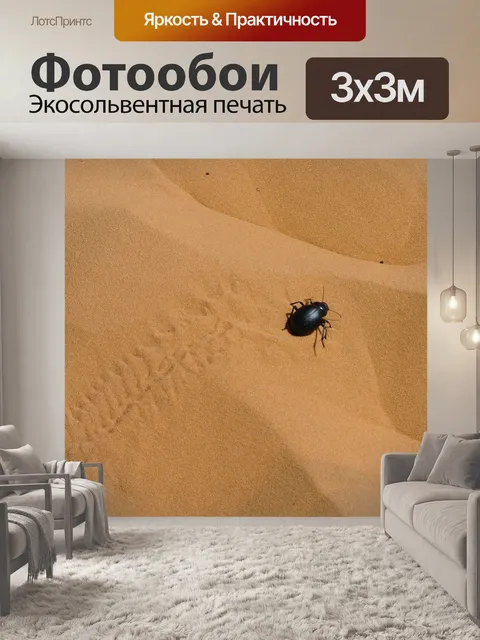 Фотообои Жук