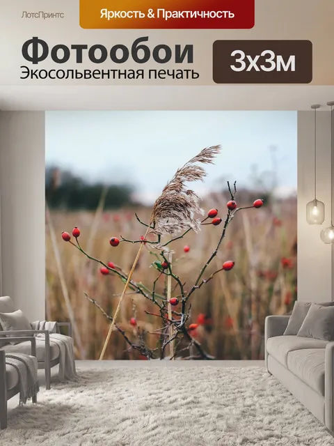 Фотообои Красная ягода