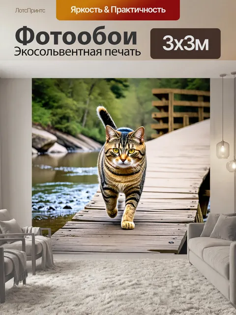 Фотообои кот, гуляющий по узкой деревянной мостике над рекой