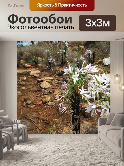 Фотообои белые цветущие черные палочные лилии