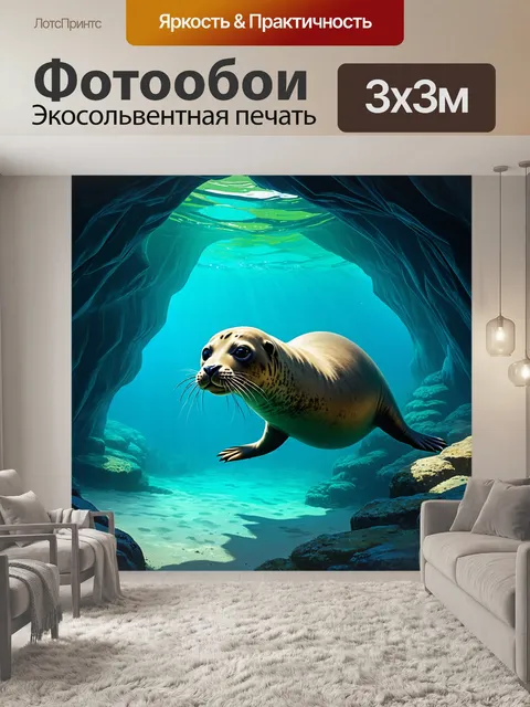 Фотообои тюлень, исследующий подводные пещеры с оттенками красивого синего и морского зеленого