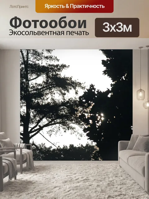 Фотообои яркое солнце за деревом
