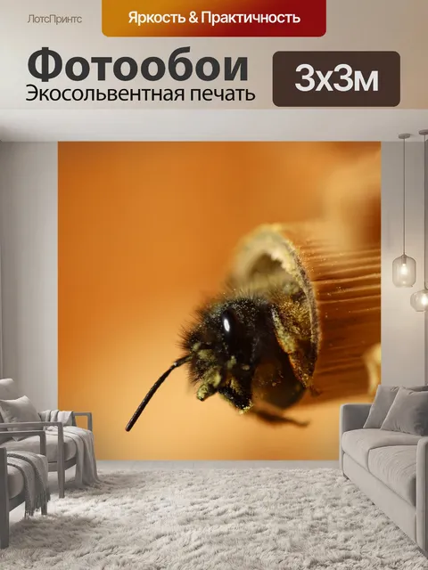 Фотообои Дикая пчела