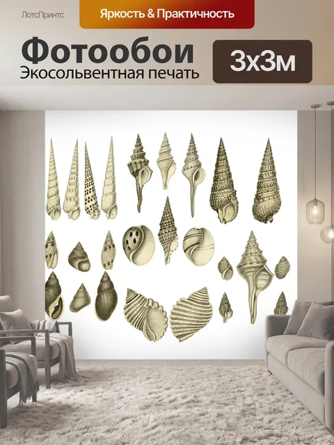Фотообои Ракушки Морская Ракушка Клипарт Винтаж
