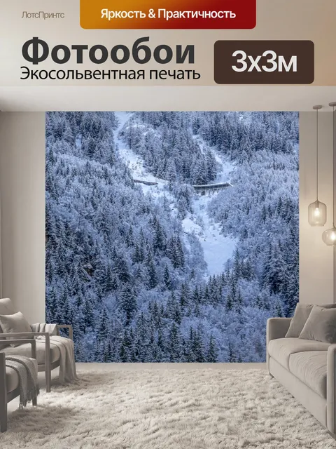 Фотообои Лес зимой