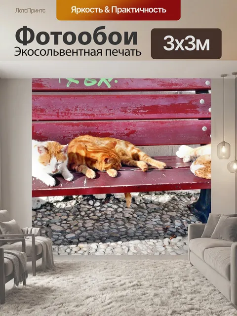 Фотообои Кошки