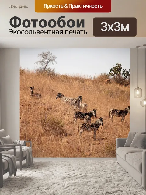 Фотообои зебра, стоящая на холме зимой