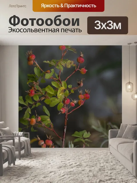 Фотообои дикие красные ягоды