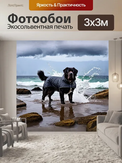 Фотообои громадный ньюфаундленд