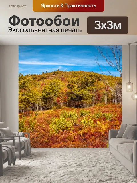 Фотообои лес осенью