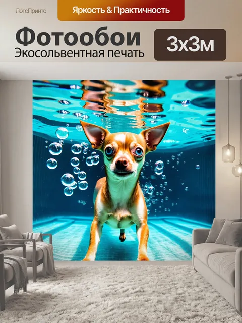 Фотообои подводный снимок чихуахуа, плавающей в бассейне, с яркими пузырьками вокруг