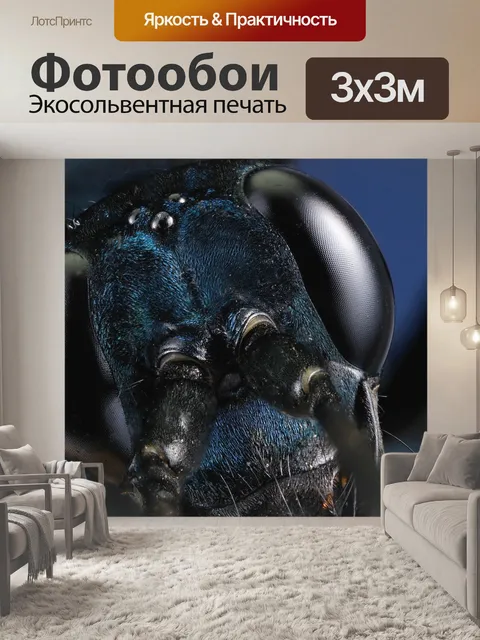 Фотообои Оса