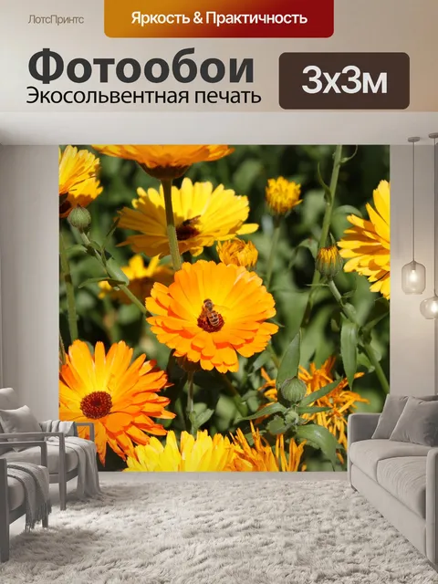 Фотообои Цветок