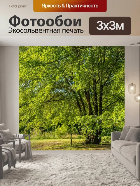 Фотообои Ореховое дерево