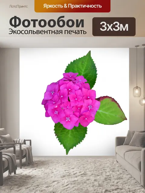 Фотообои Цветок на белом