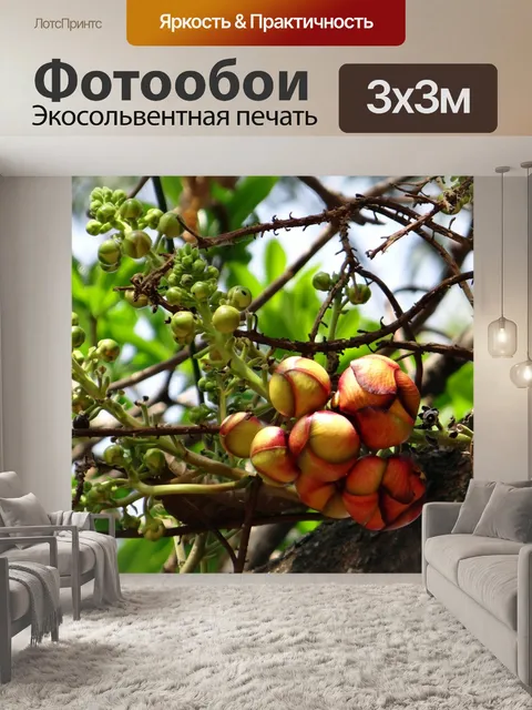 Фотообои Пушечное ядро