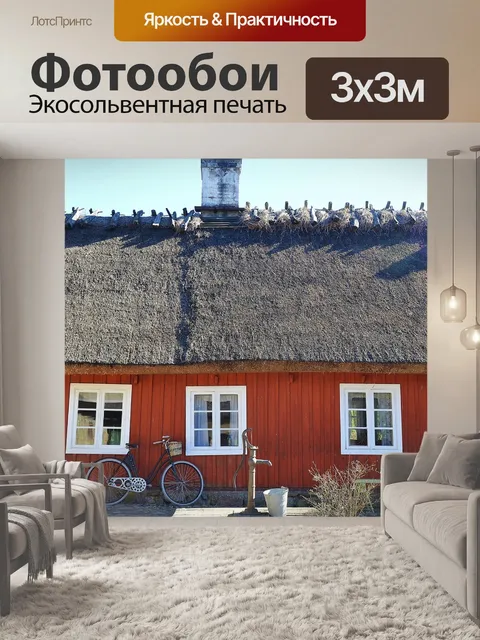 Фотообои Красный дом