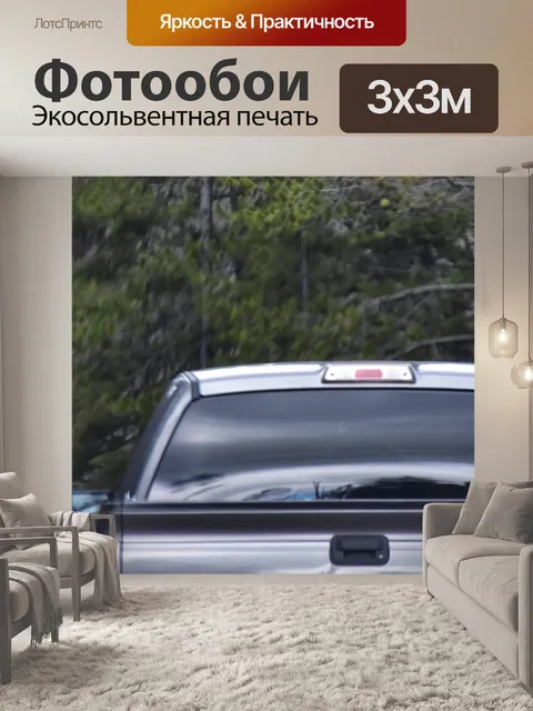 Фотообои Собака с головой из окна грузовика