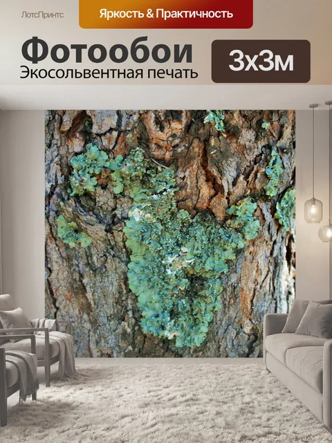 Фотообои зеленый лишайник на стволе дерева