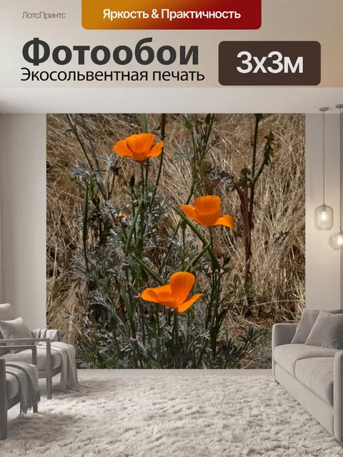 Фотообои Калифорнийский мак Цветы