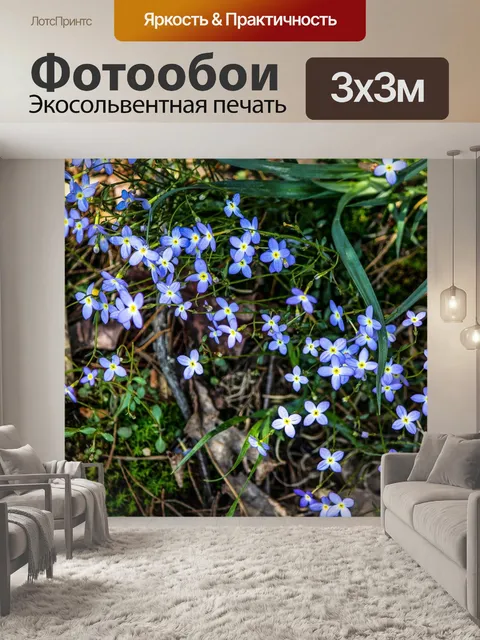 Фотообои География