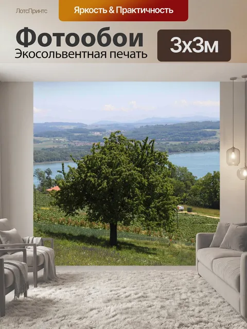 Фотообои Швейцария