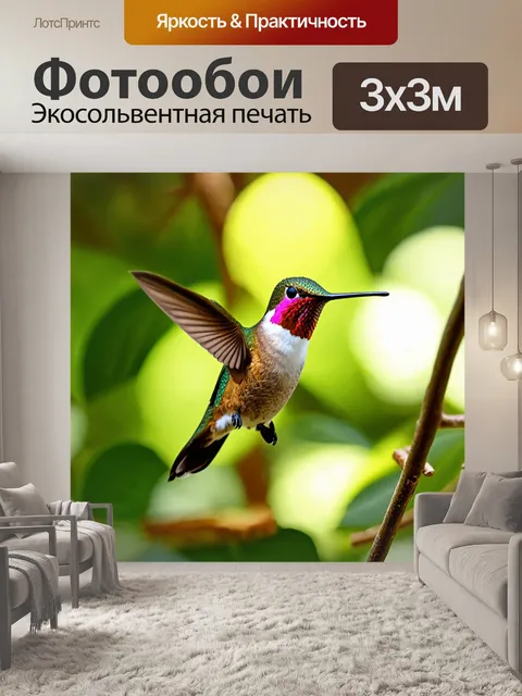 Фотообои колибри, освещённый солнечными лучами в тропическом лесу
