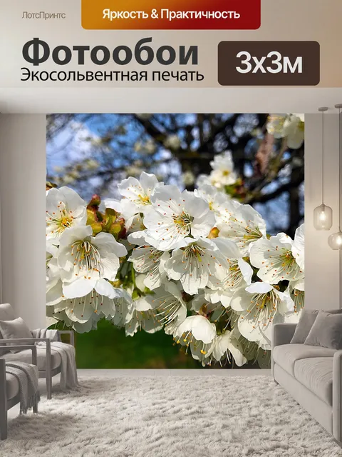 Фотообои Сакуры весной