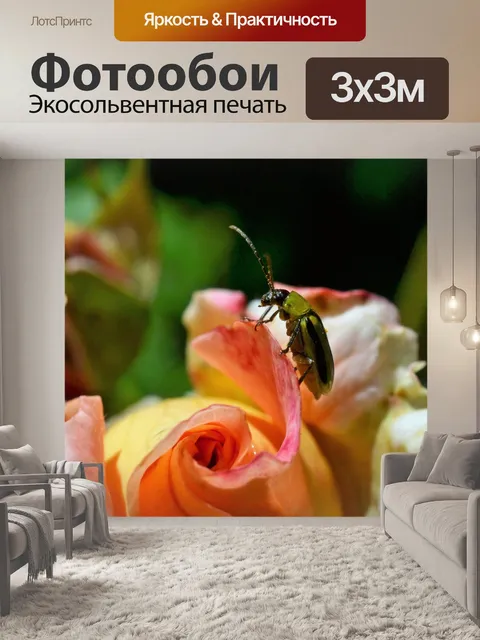 Фотообои Зеленый жук