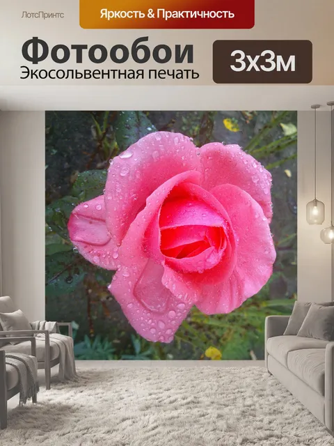 Фотообои Сад