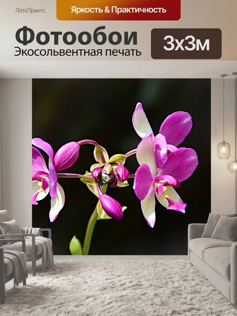 Фотообои Erdorchidee