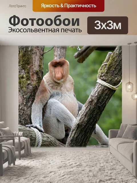 Фотообои Обезьяна хоботок 2